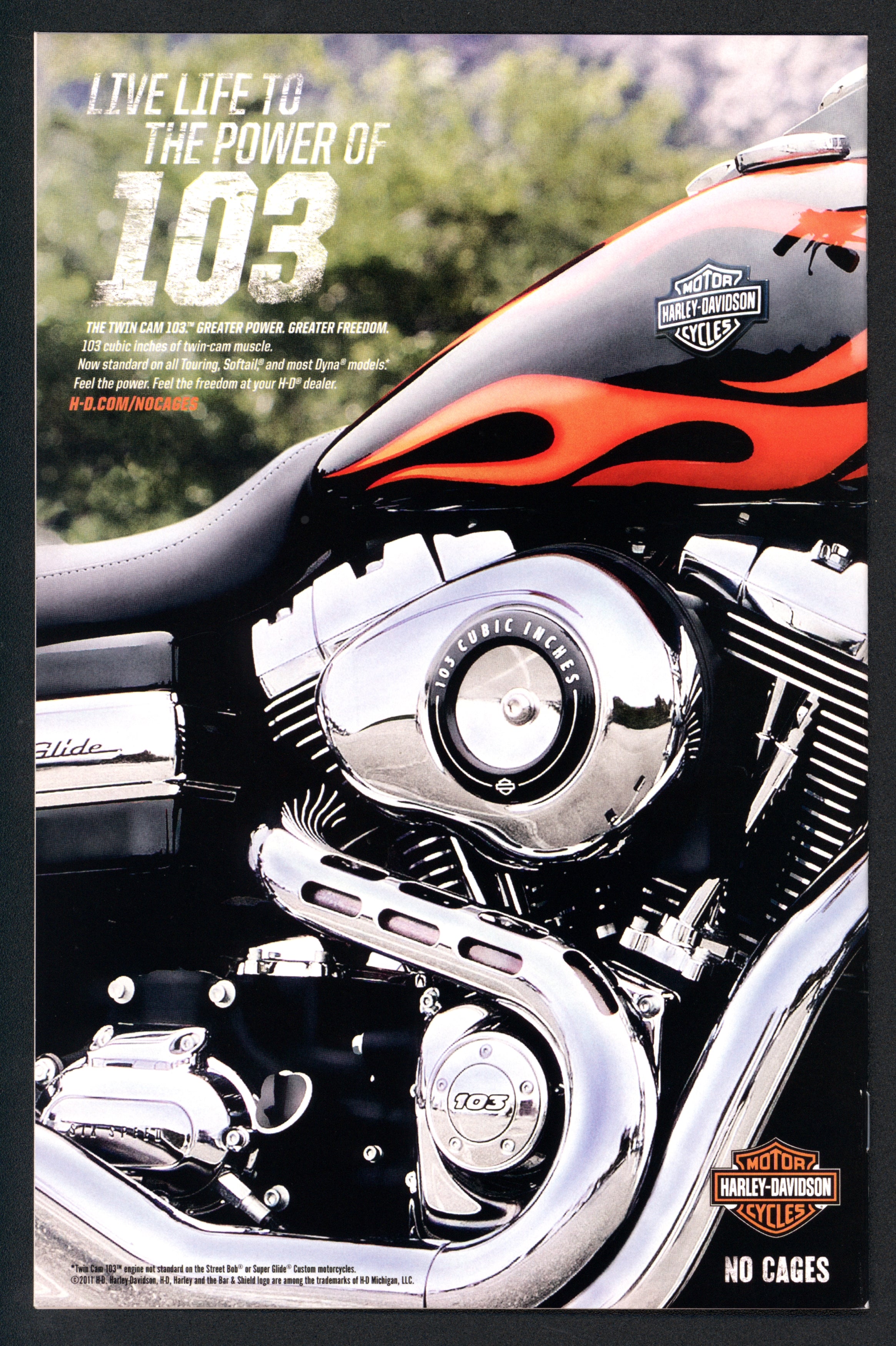 VIM_grade_nm-300211