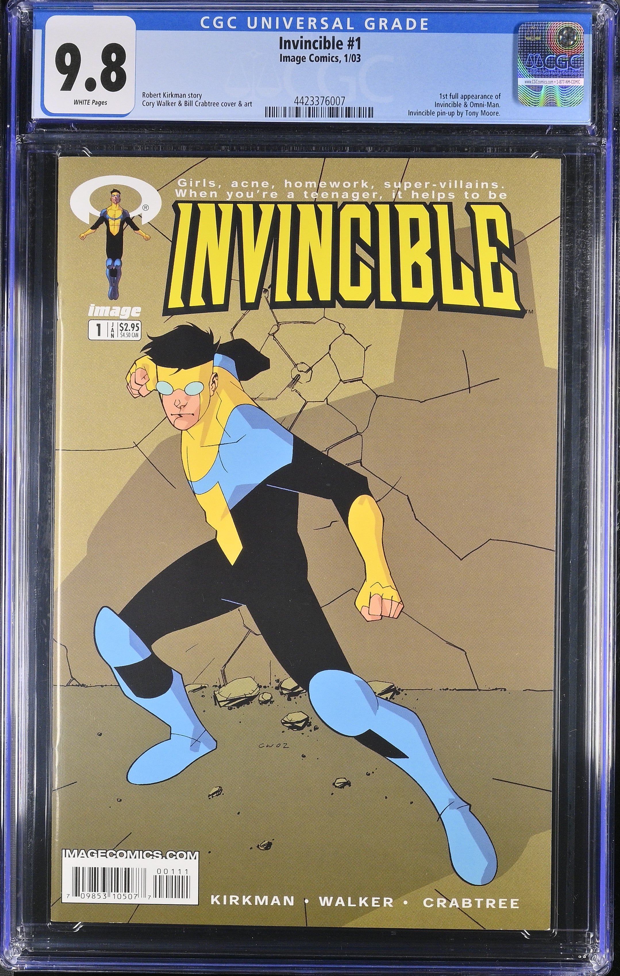 VIM_grade_cgc-9-8-4423376007