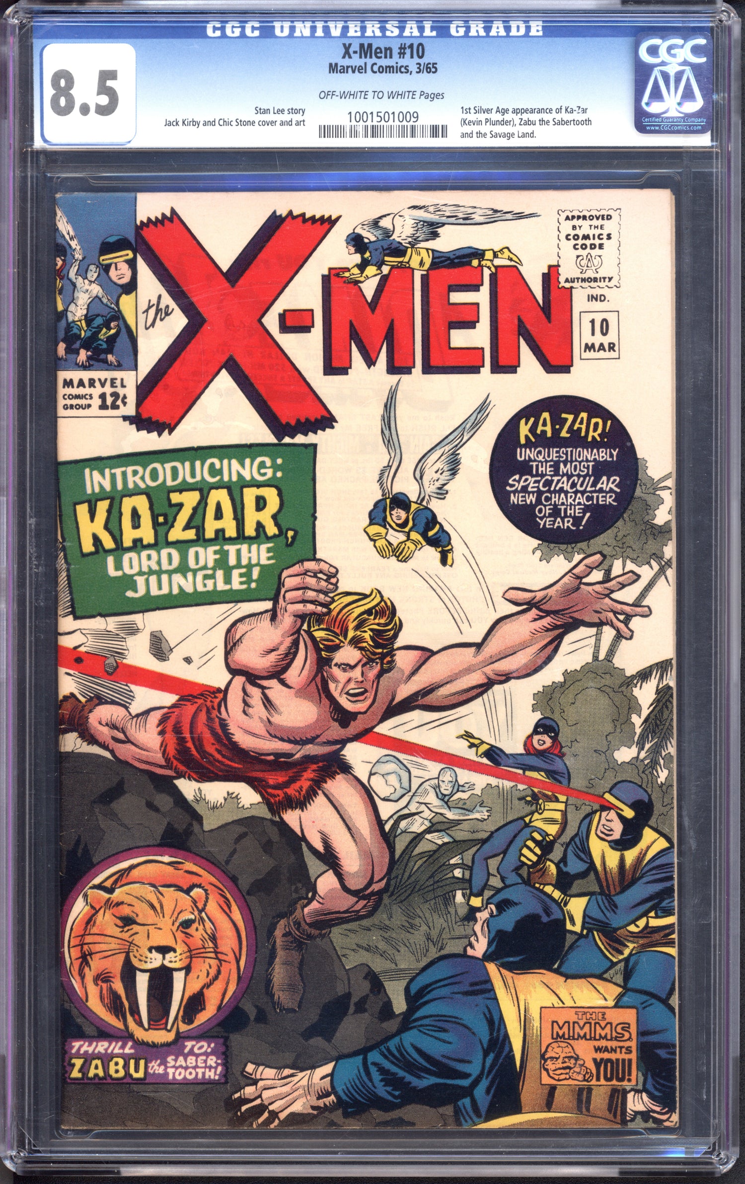 VIM_grade_cgc-8-5-1001501009