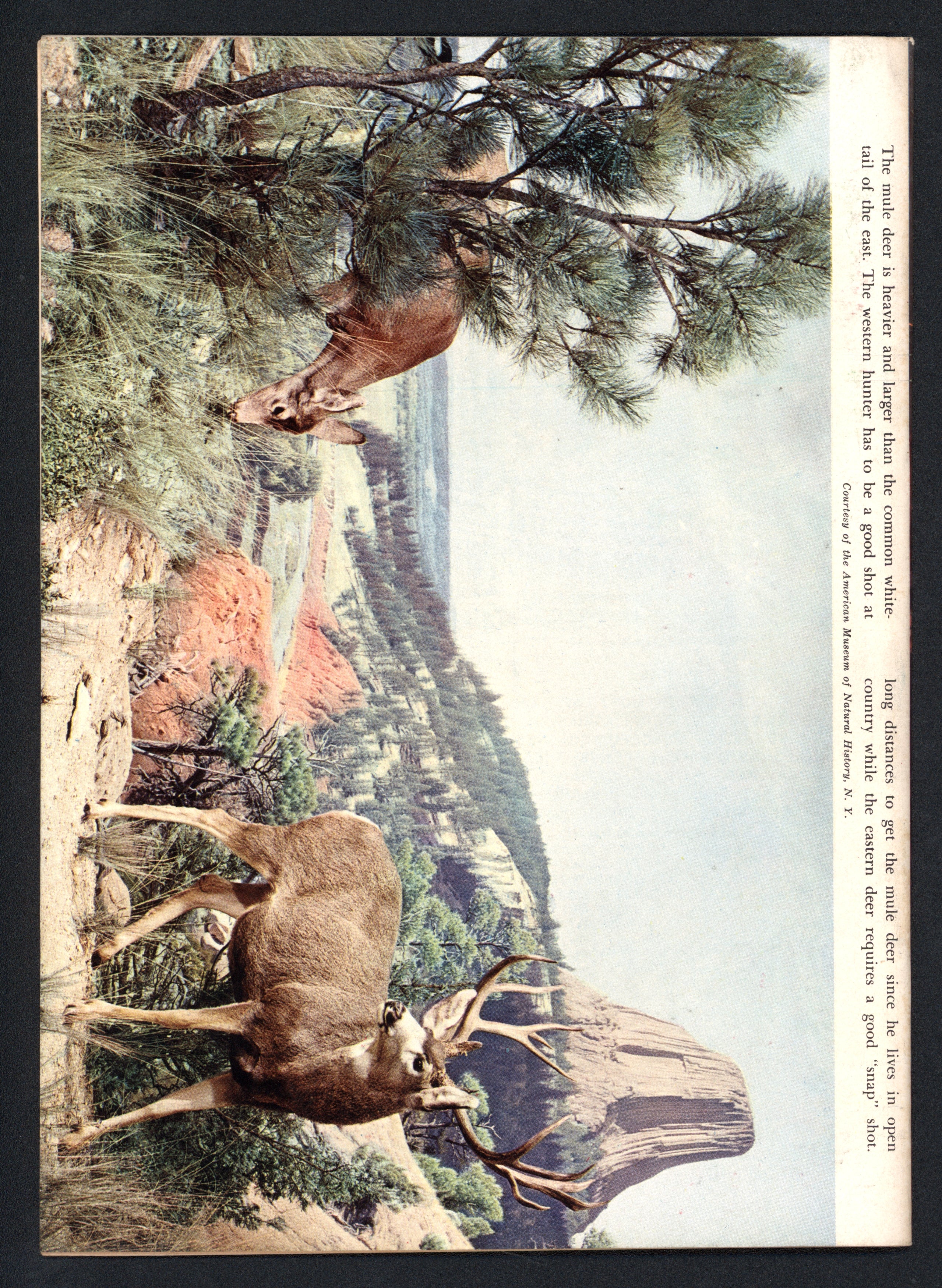 VIM_grade_nm-100847