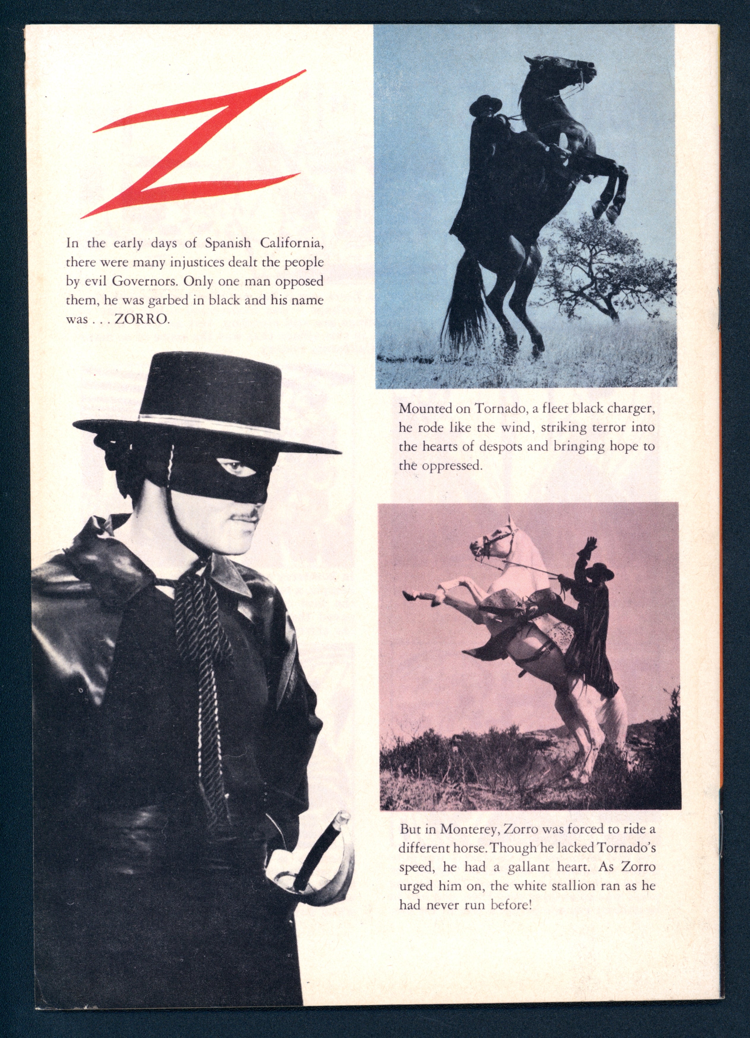VIM_grade_vf-nm-101457