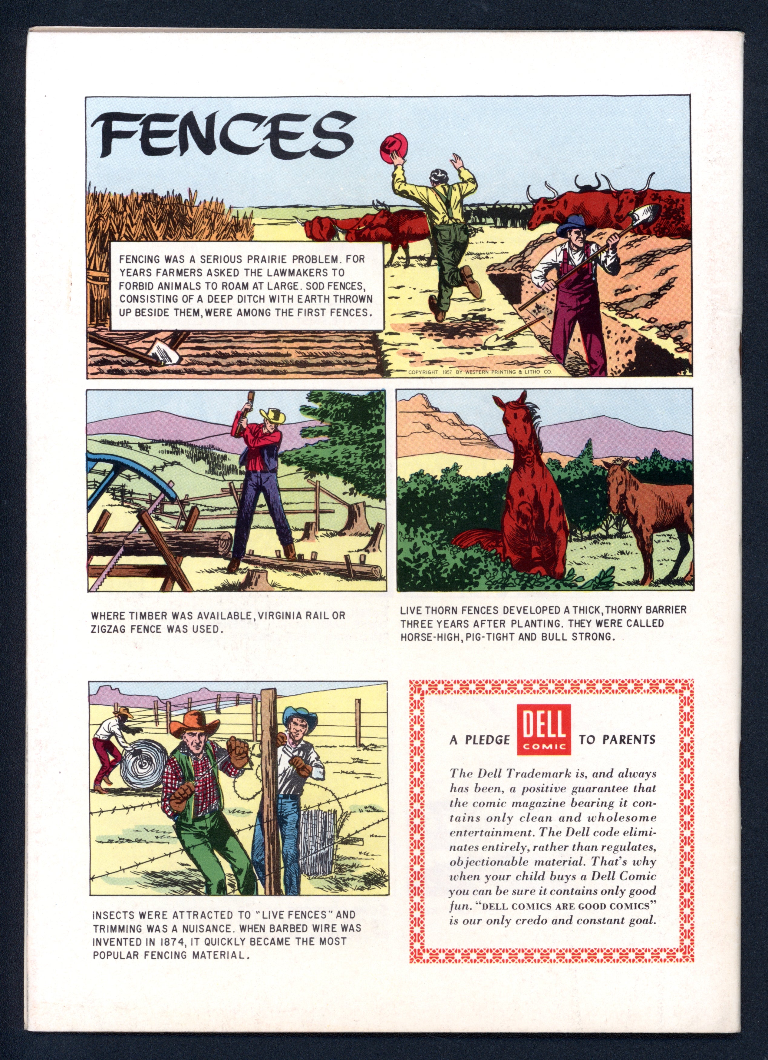 VIM_grade_vf-nm-101542