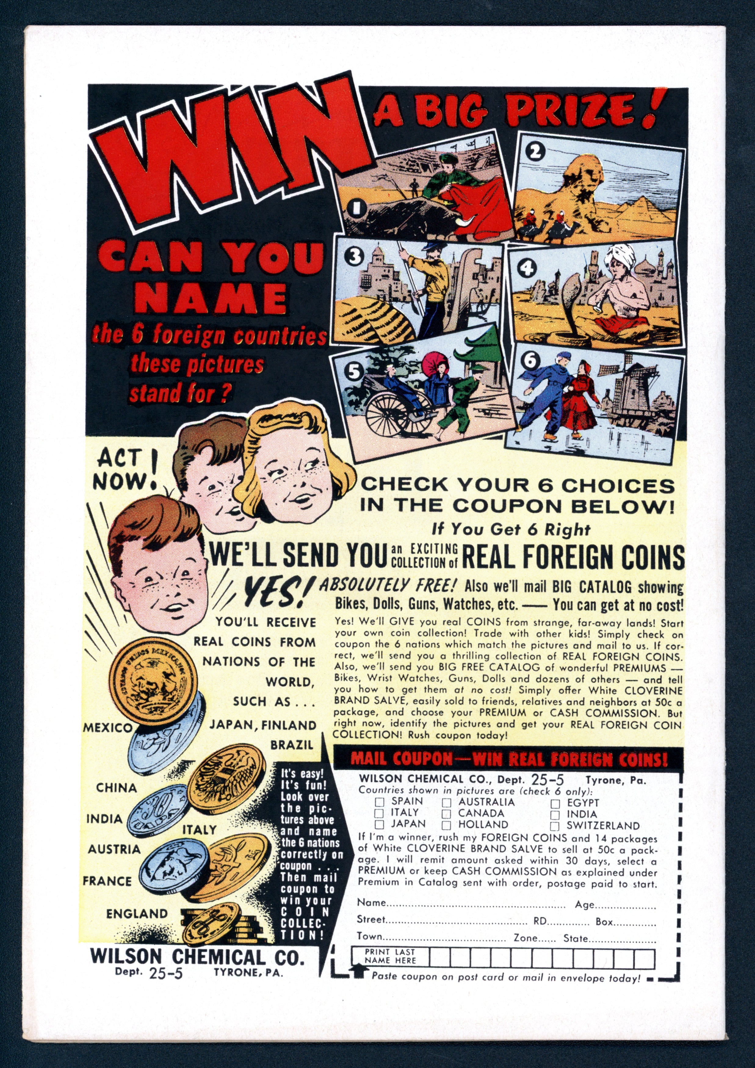 VIM_grade_vf-nm-101554