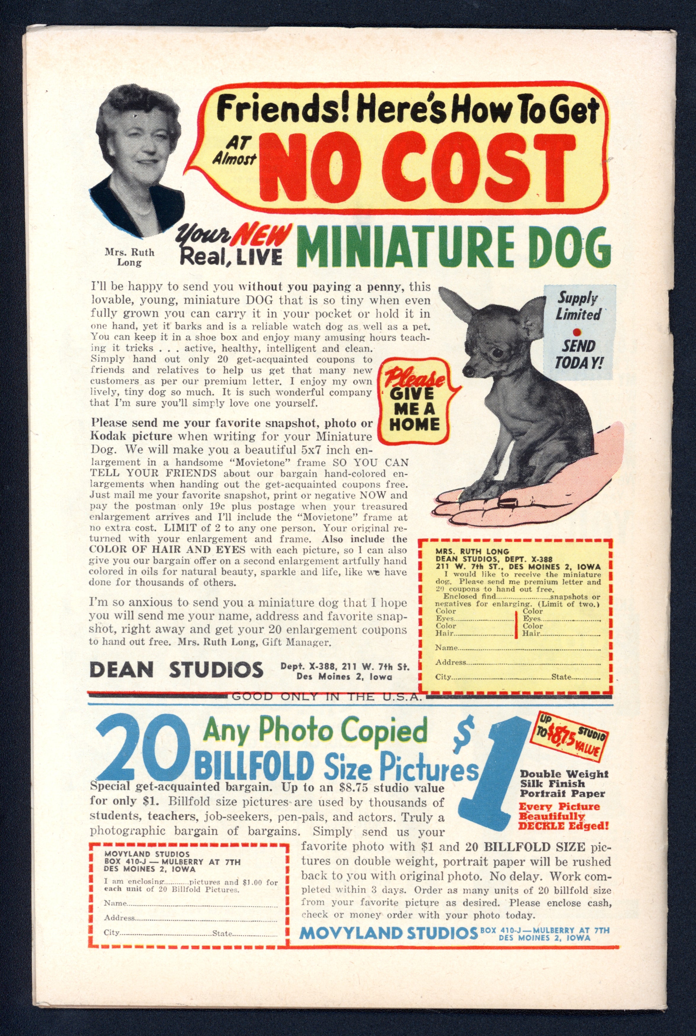 VIM_grade_vf-101700