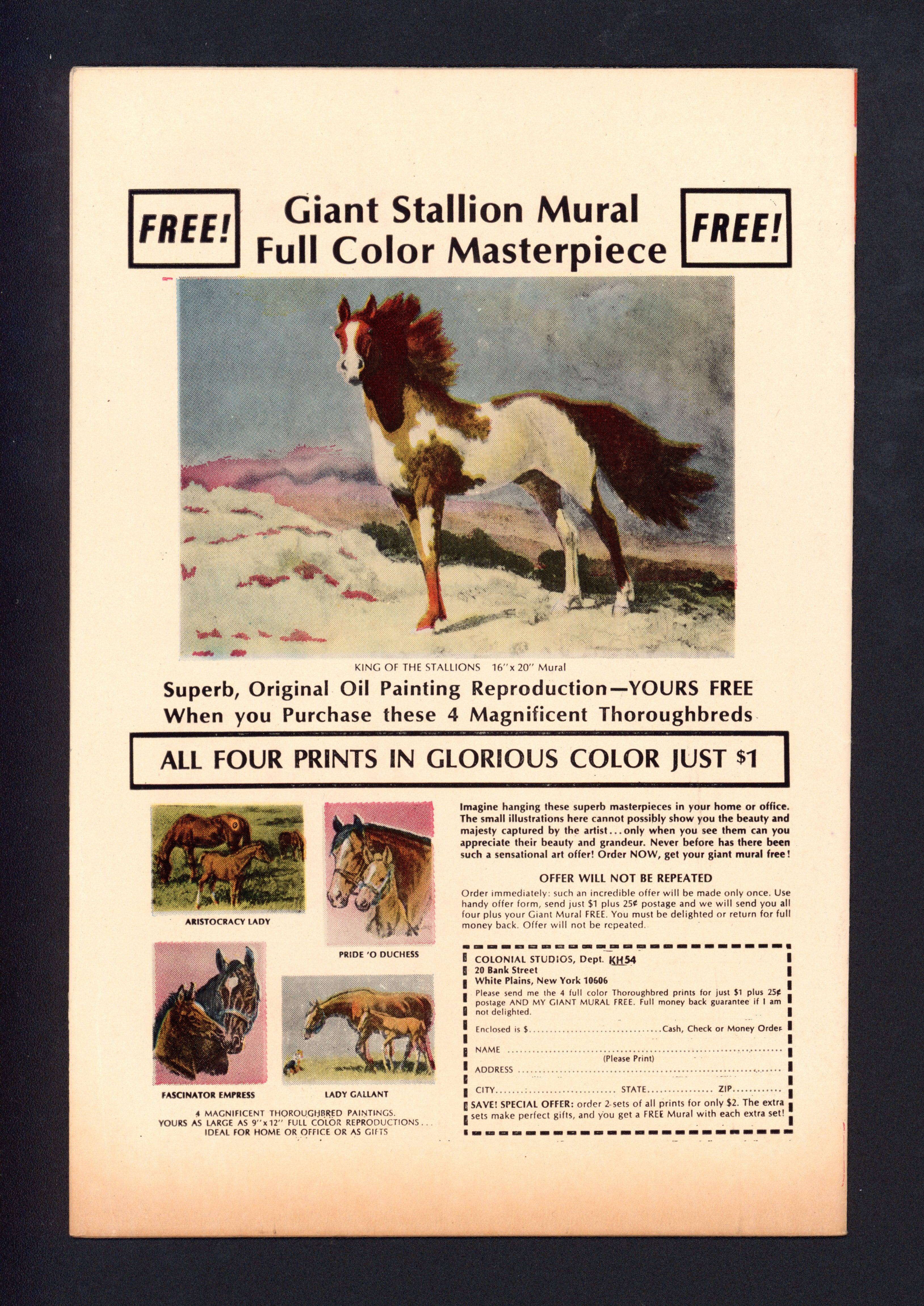 VIM_grade_vf-colour-cover-102143
