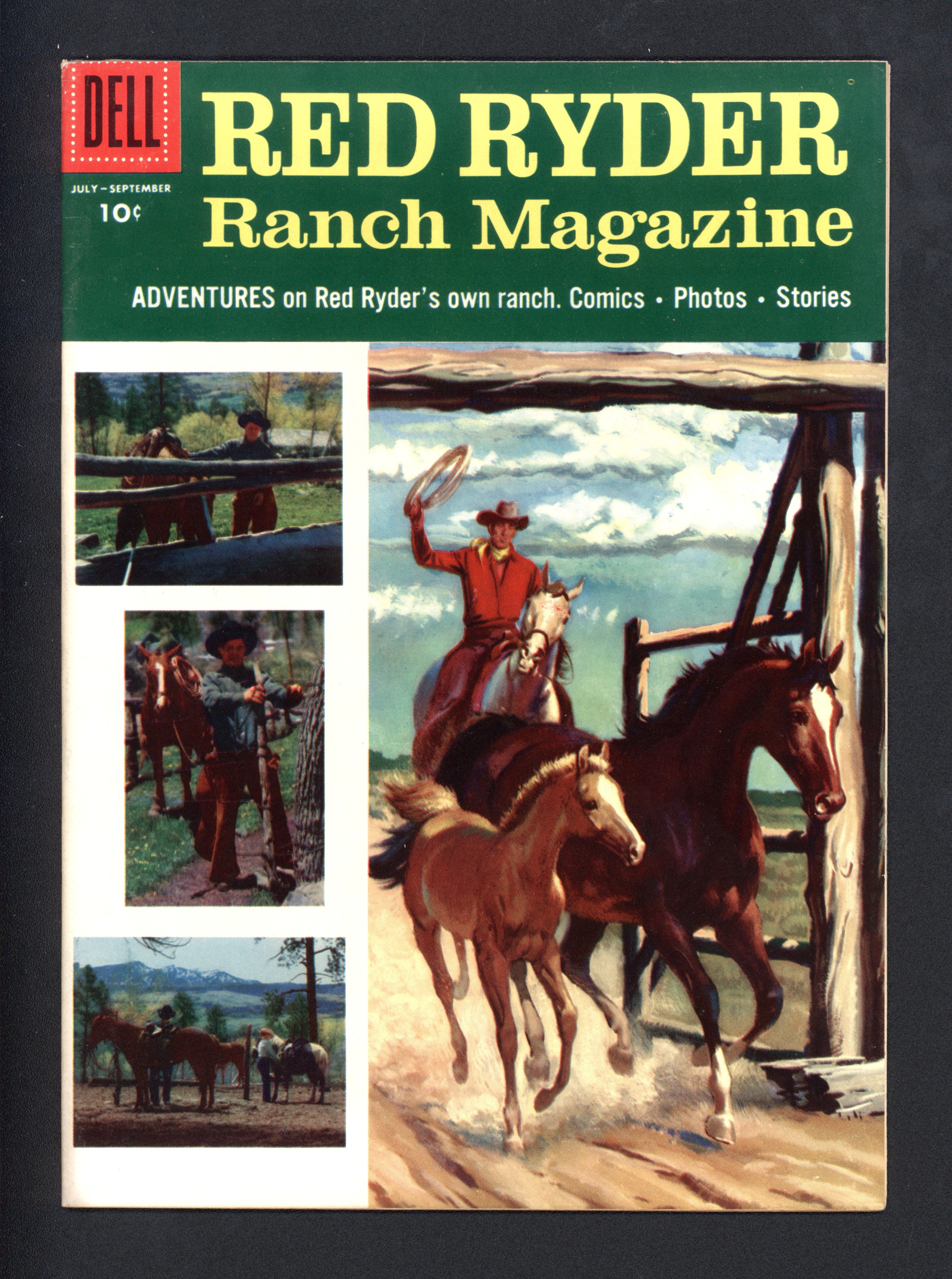 VIM_grade_vf-nm-102194