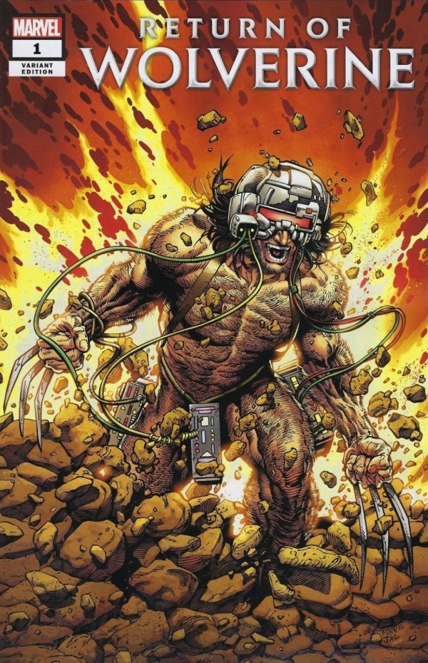 VIM_grade_nm-weapon-x-costume
