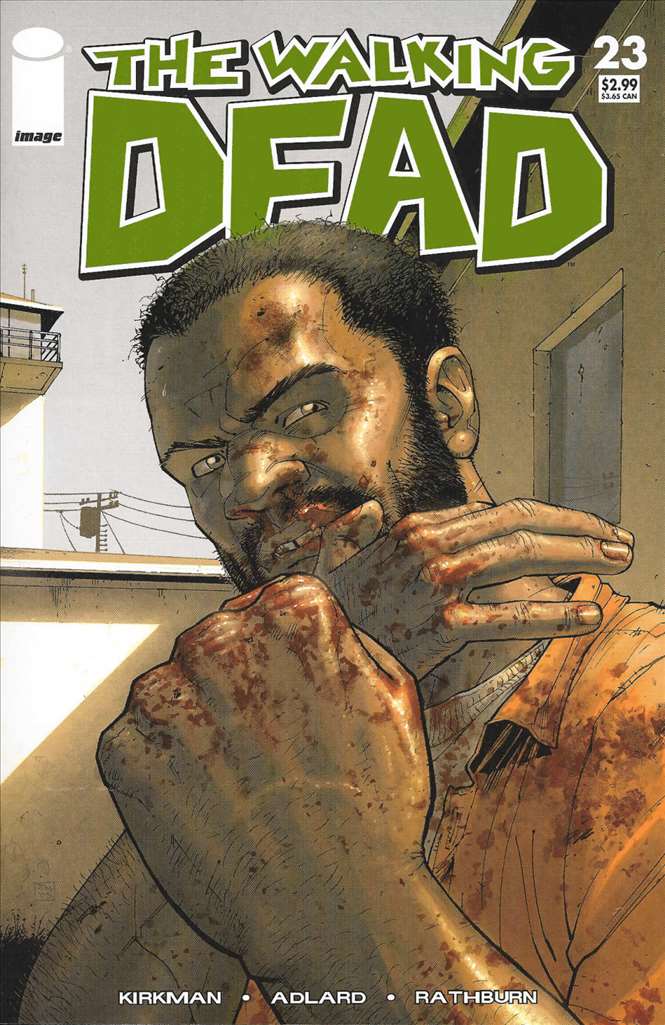 Walking Dead (2003 Image) # 23 Raw