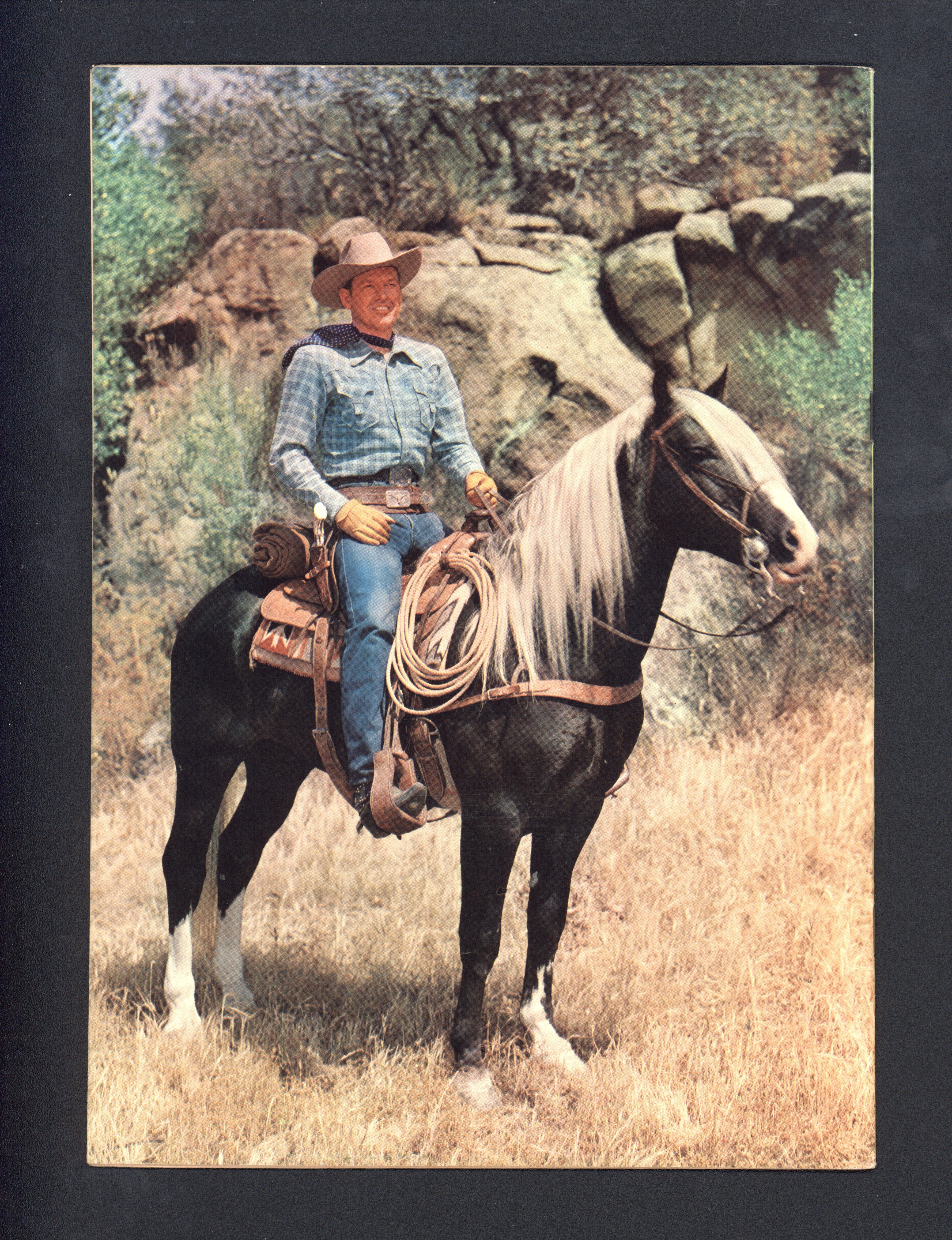 VIM_grade_vf-nm-301914