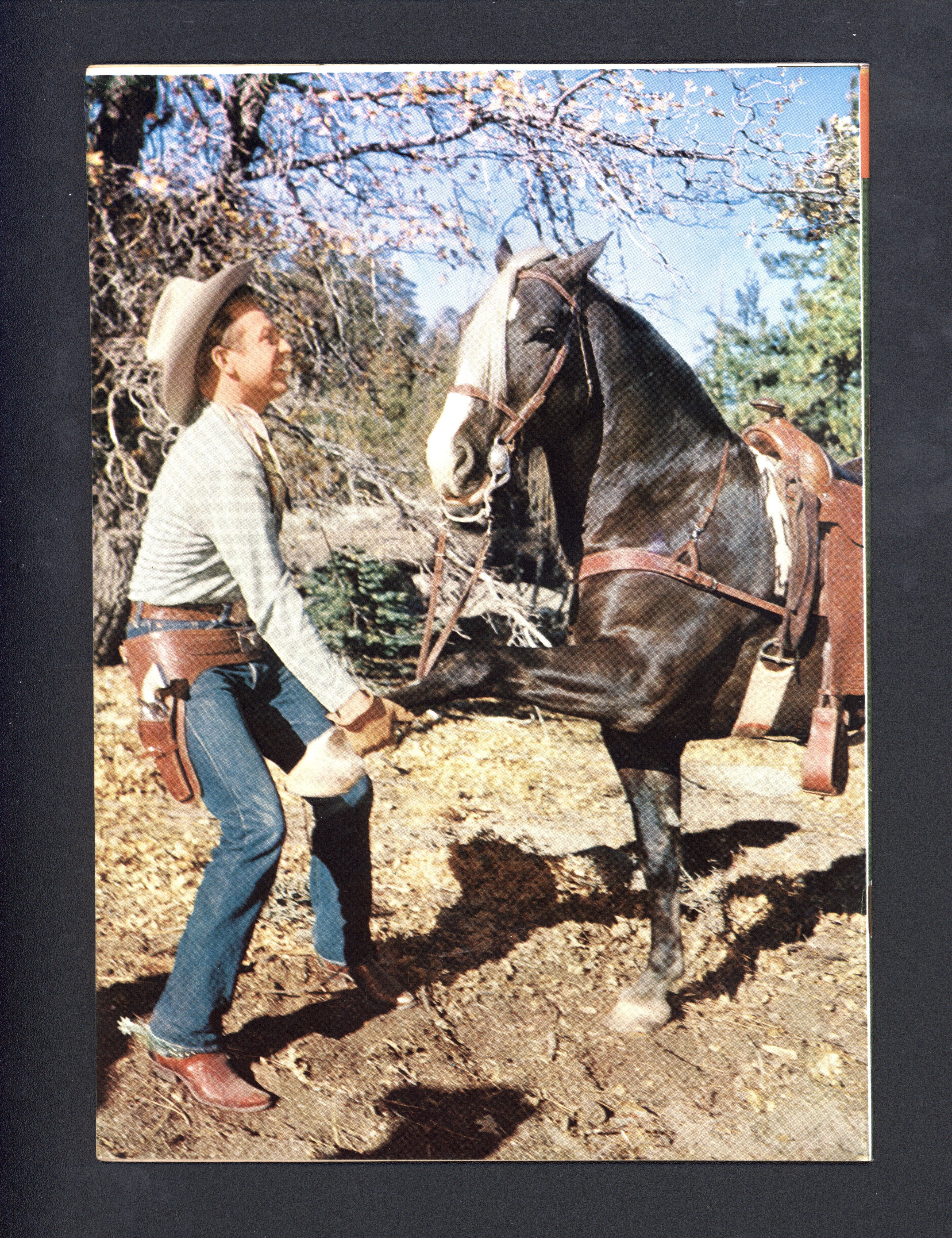 VIM_grade_vf-nm-301917