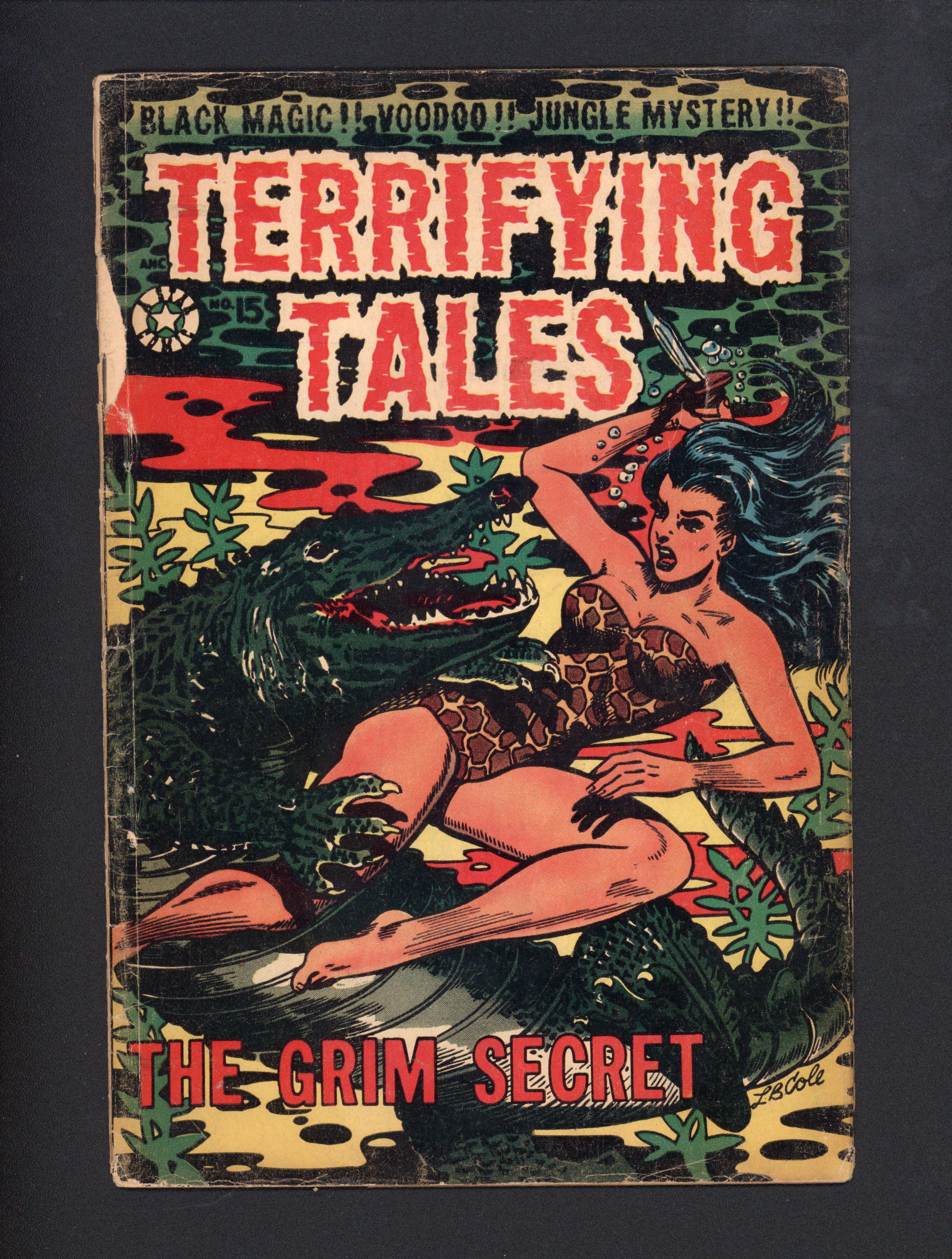 VIM_grade_g-cover-detached-304005