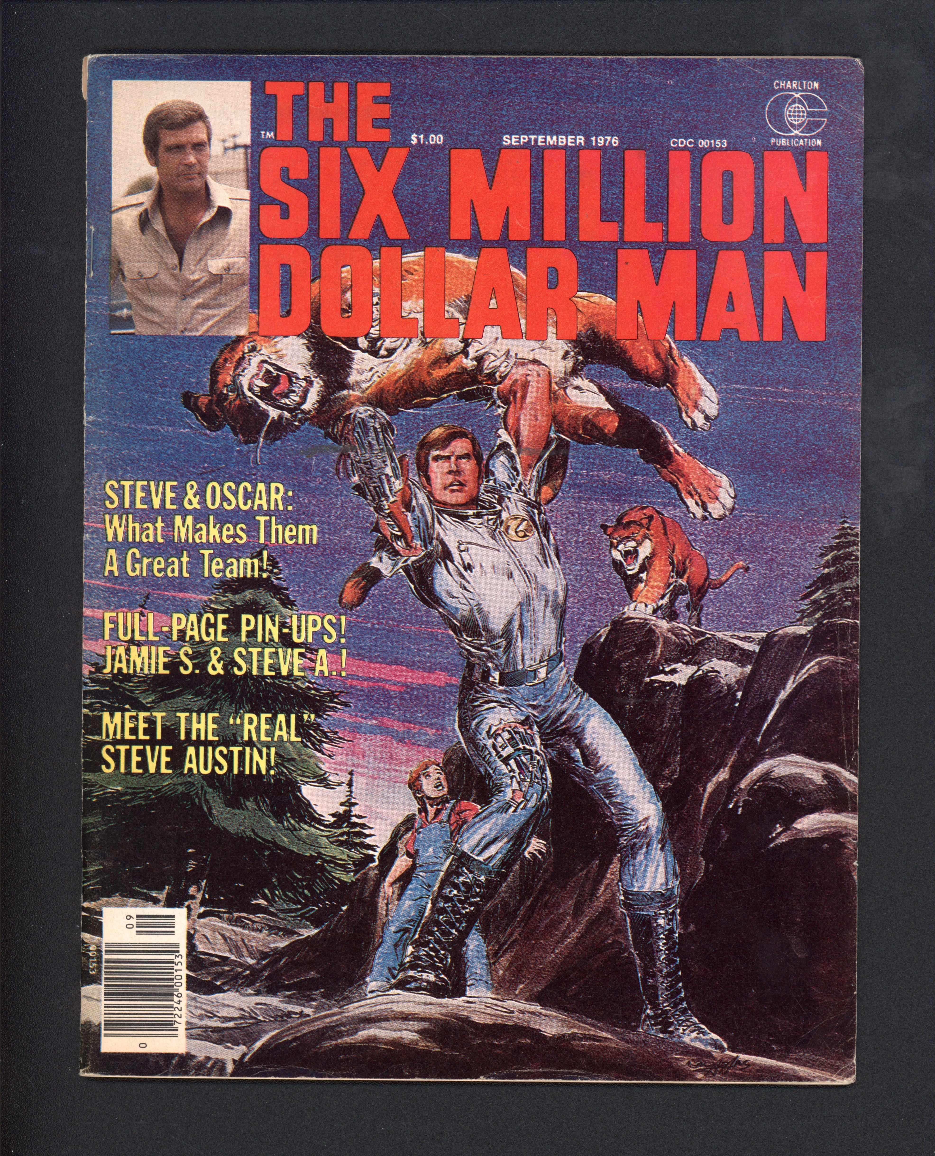 VIM_grade_f-305845