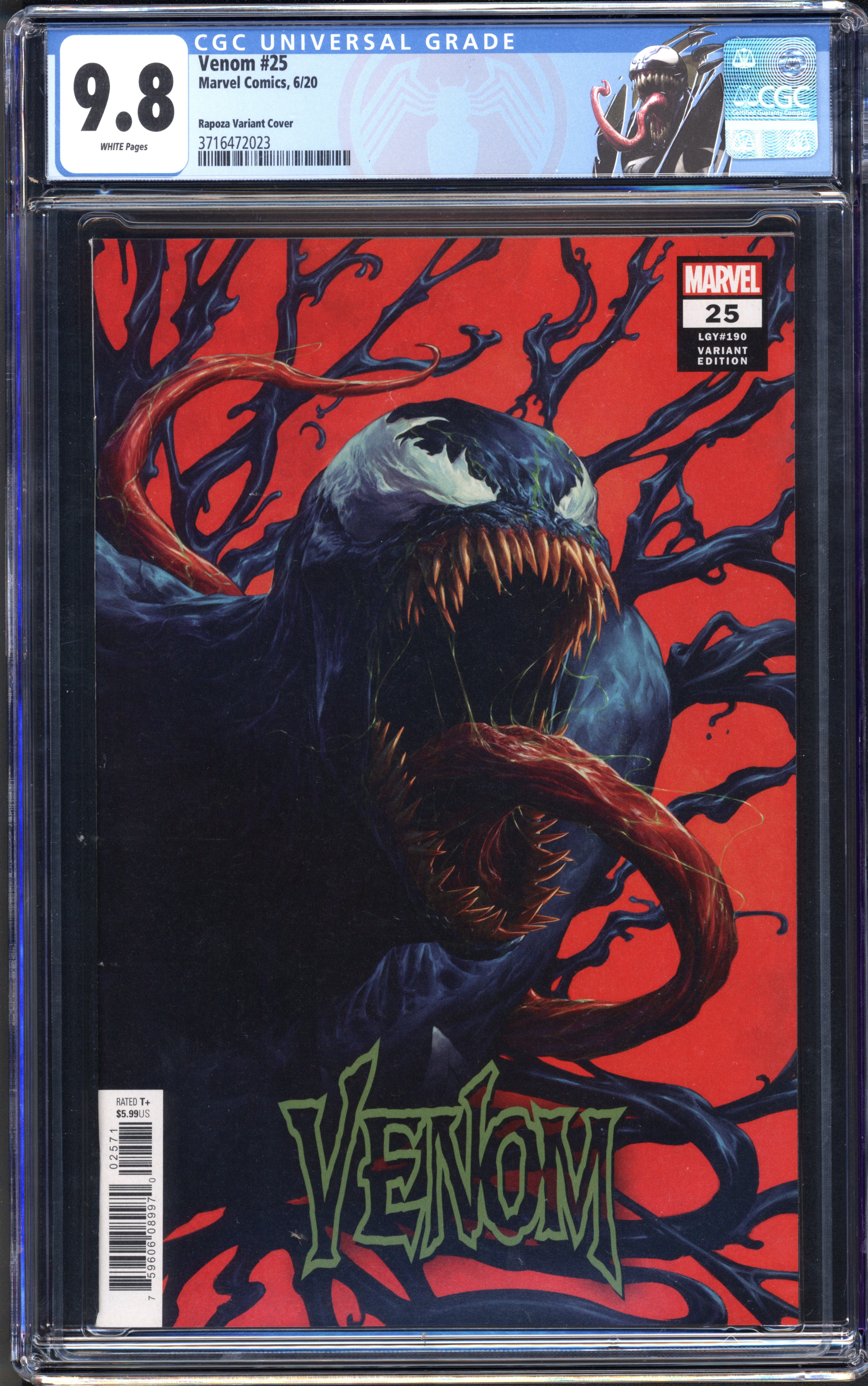 VIM_grade_cgc-9-8-rapoza-cover-3716472023