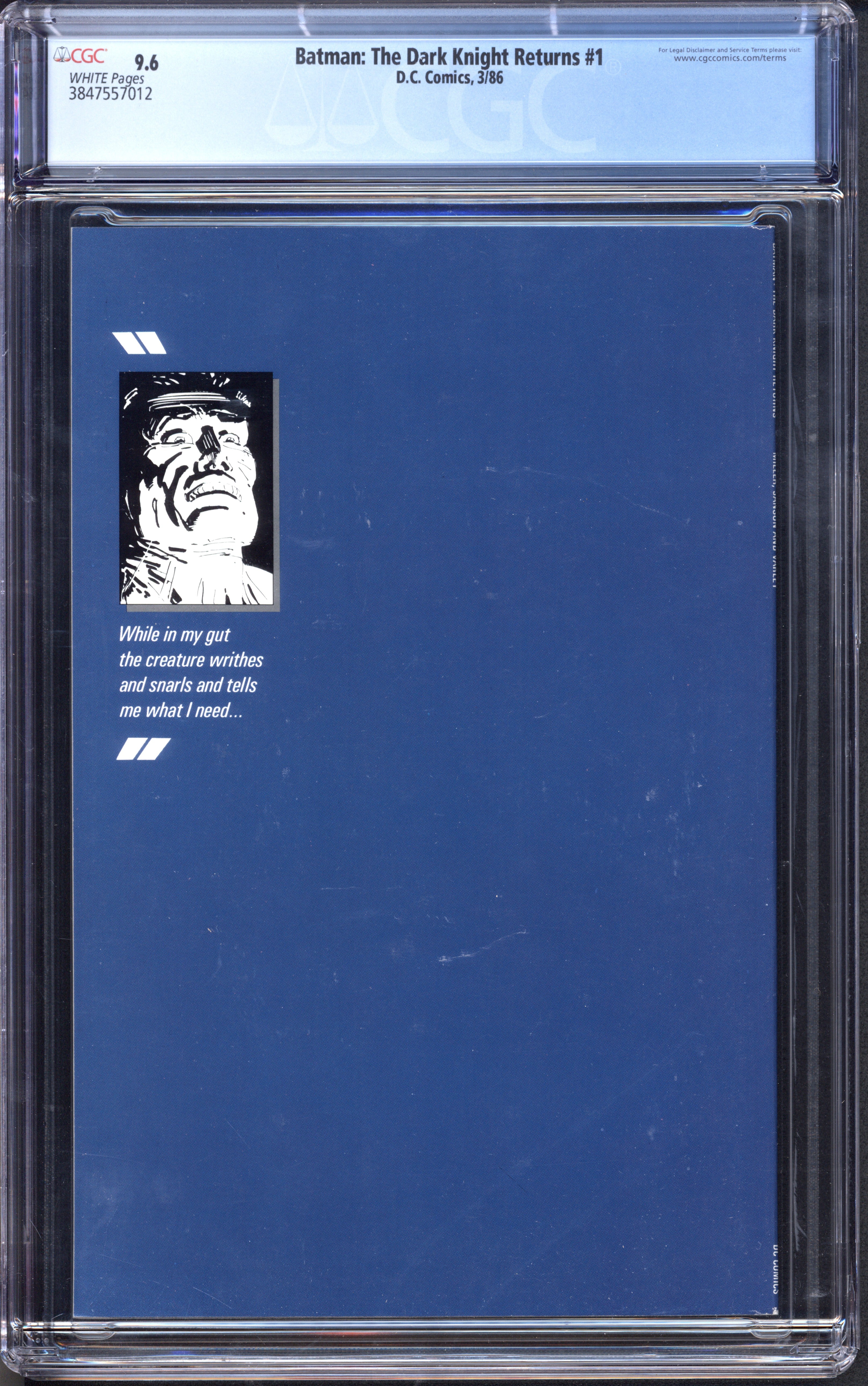 VIM_grade_cgc-9-6-3847557012