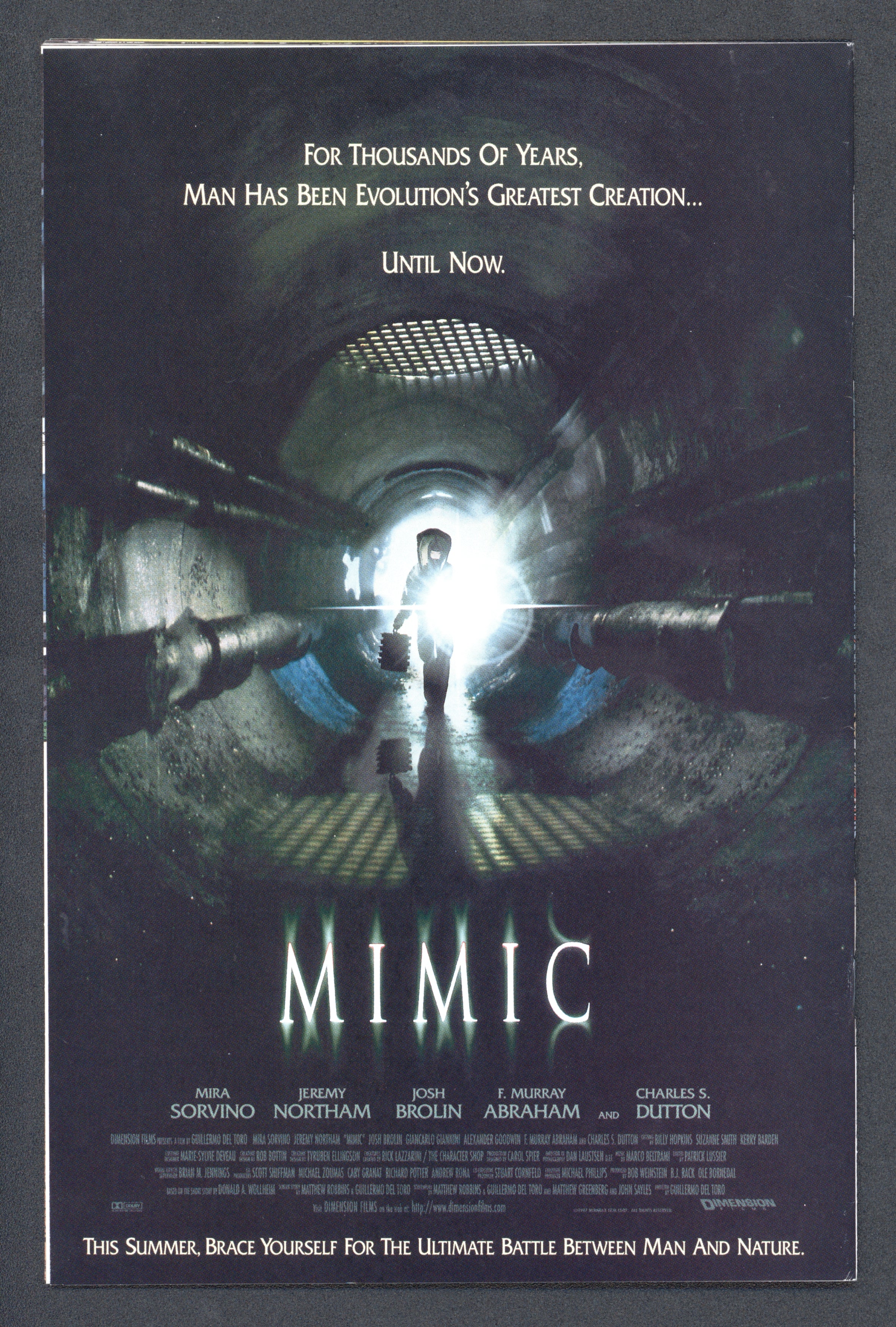 VIM_grade_nm-600228