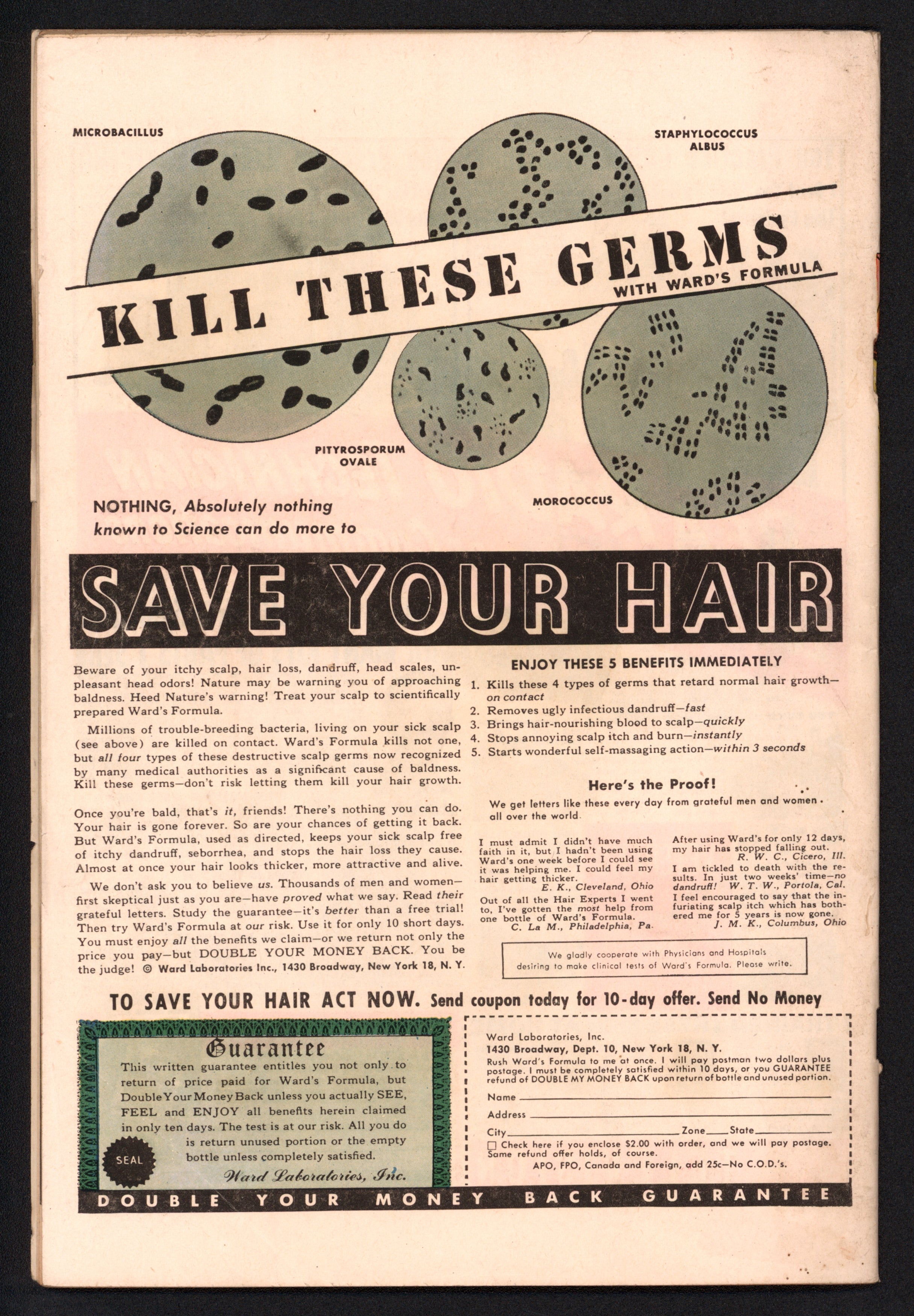 VIM_grade_vg-601012