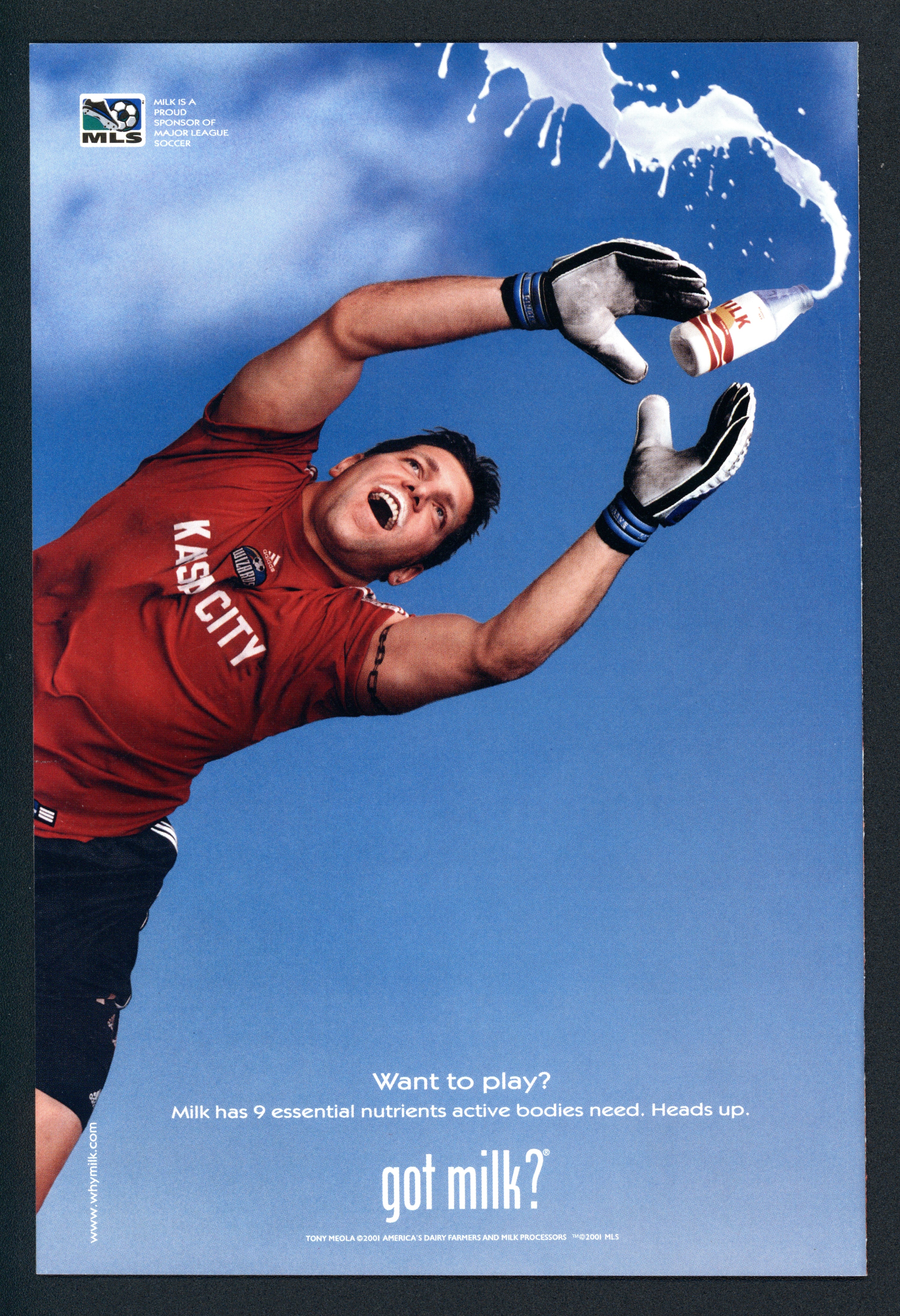 VIM_grade_nm-horn-signature-602121