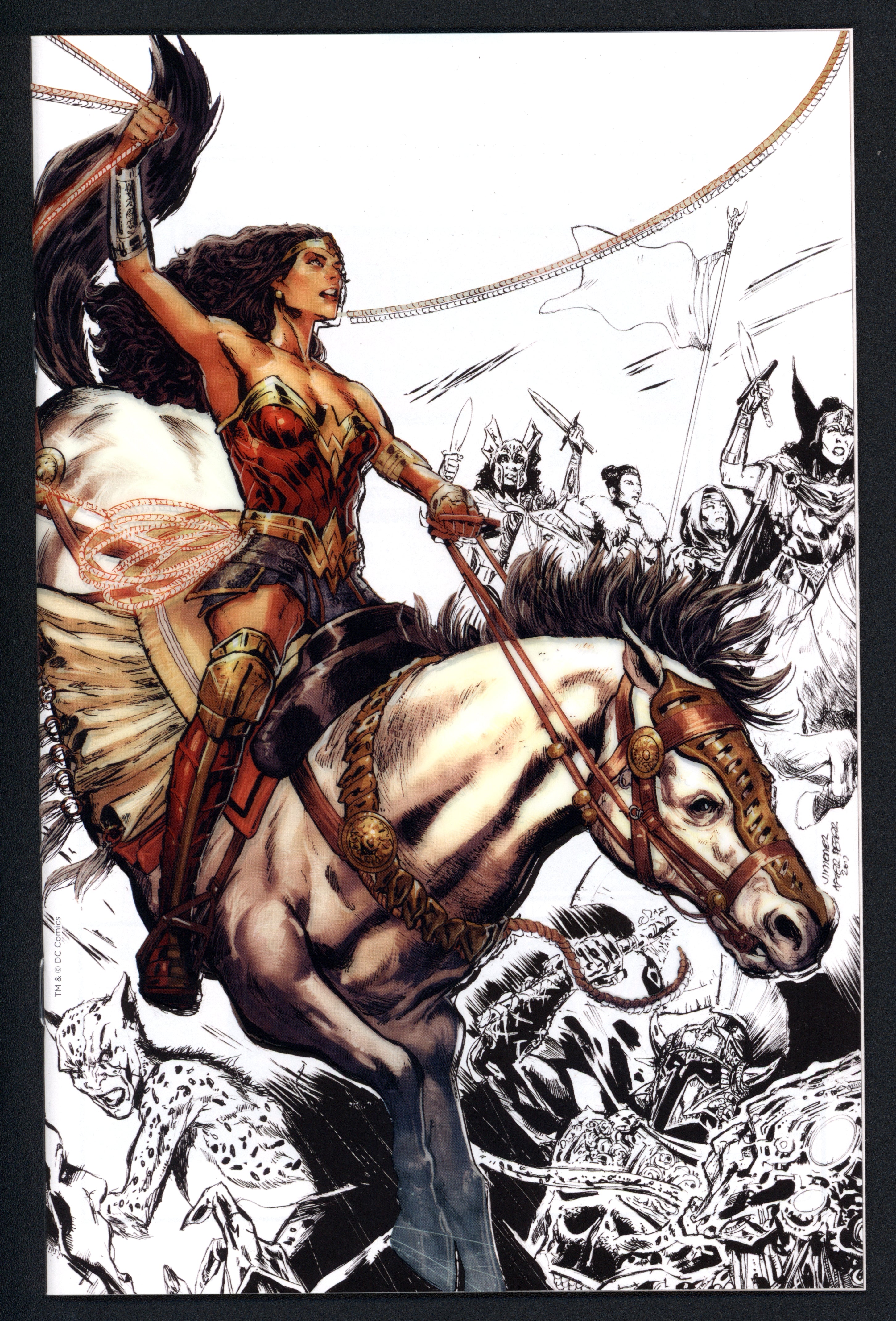 VIM_grade_nm-special-convention-acetate-sketch-jimenez-cover-602156