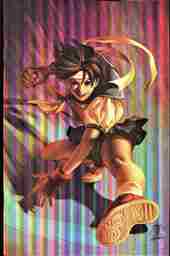 VIM_grade_nm-foil-power-cover
