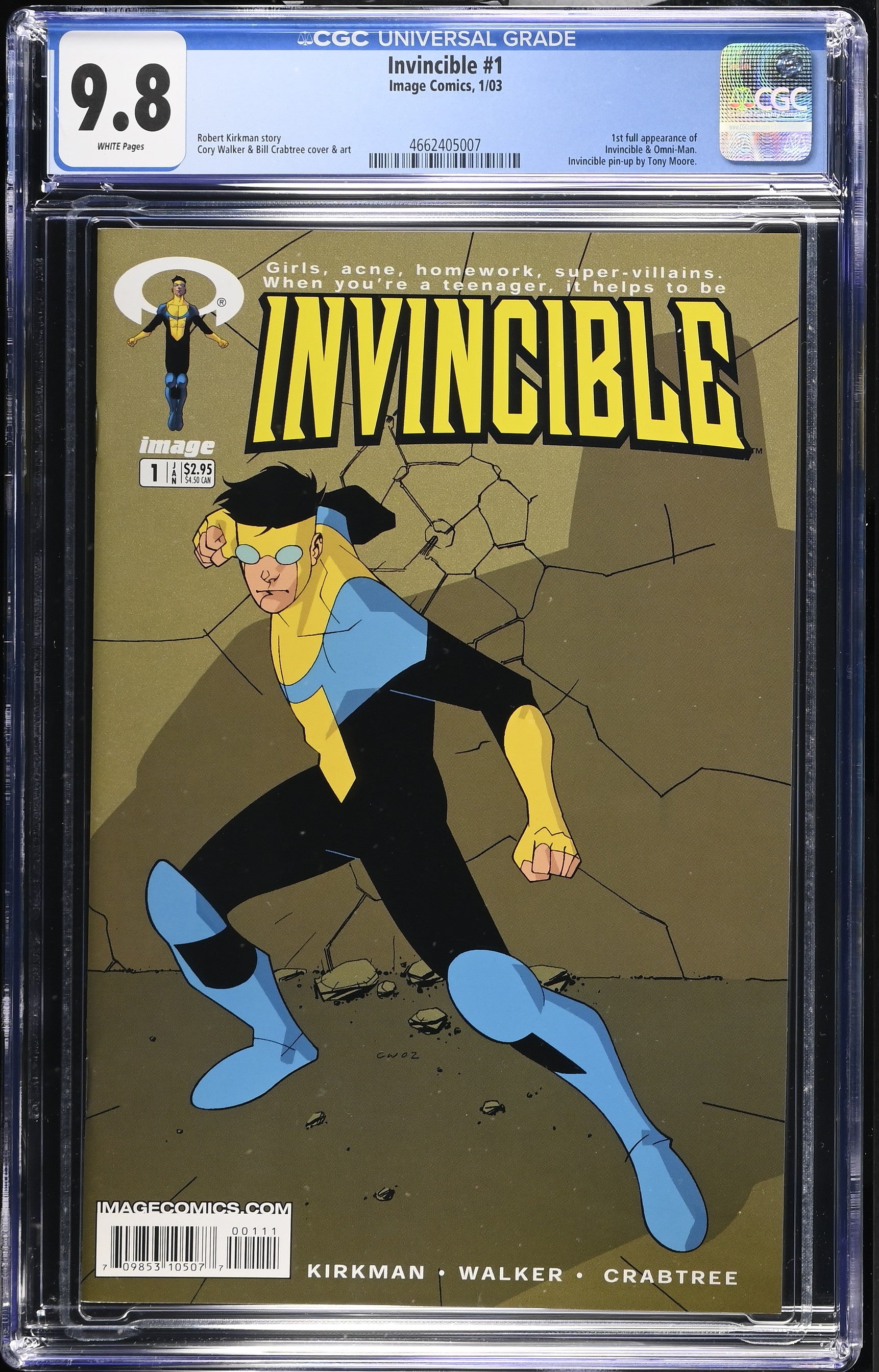 VIM_grade_cgc-9-8-4662405007